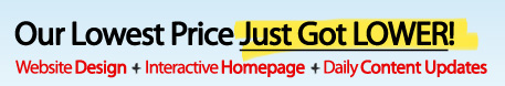 Our Lowest Price Just Got LOWER! Website Design + Interactive Homepage + Daily Content Updates for only $495
